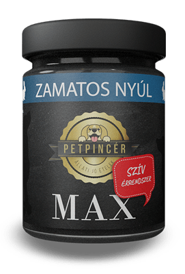Kutya szív és érrendszeri betegségek